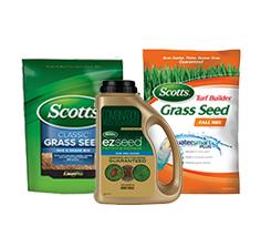 Scotts Grass Seed